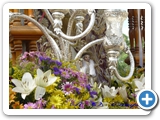 rocio2010-049