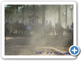 rocio2012-014