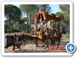 rocio2014-068