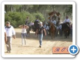 rocio2014-073