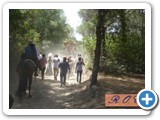 rocio2014-079