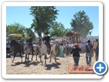 rocio2014-109