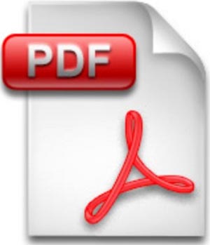 PDF